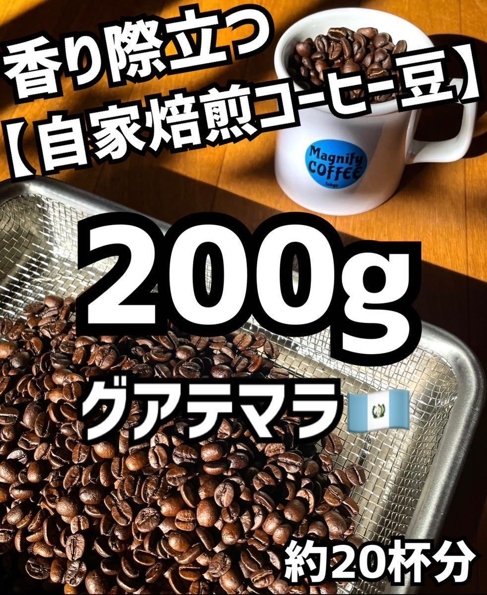 [ anonymity delivery ] own .. coffee bean gatemalaSHB(gatemala) approximately 20 cup minute /200g(.. legume or flour )