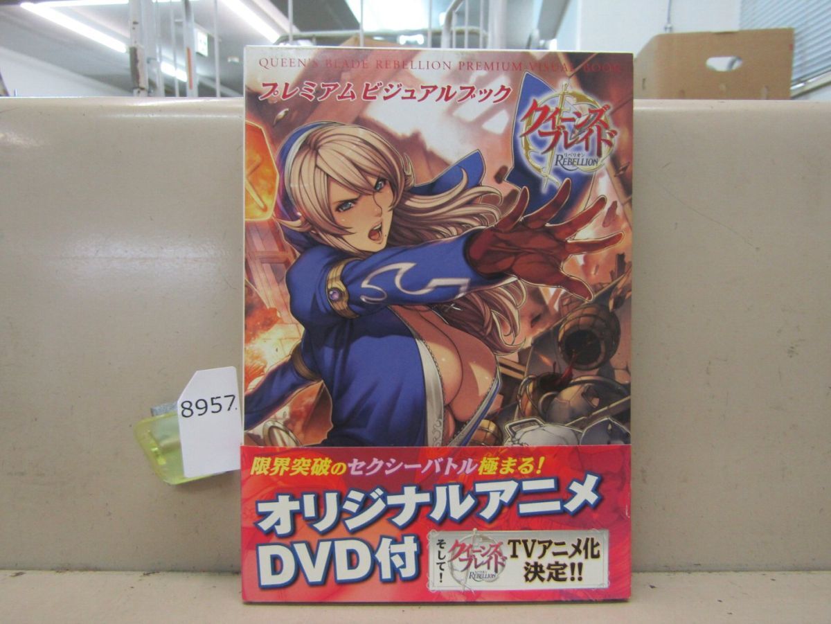 8957　DVD付き クィーンズブレイドリベリオン プレミアムビジュアルブック_画像1