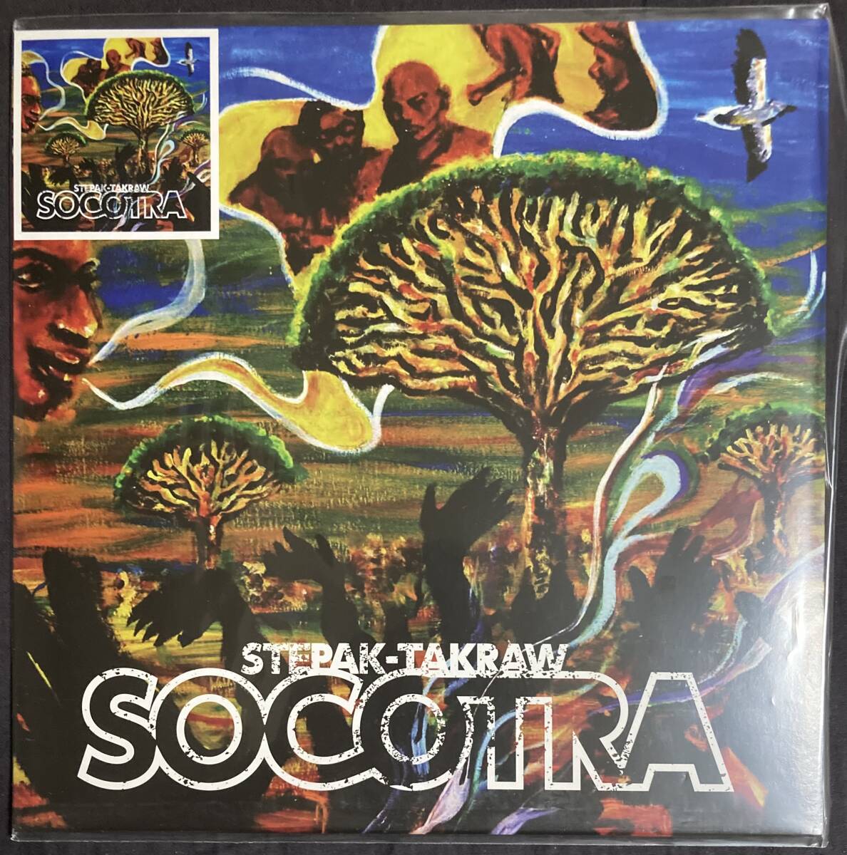 STEPAK TAKRAW / SOCOTRA レコード　美品　アフロバンド　フェラ・クティ　fela kuti_画像1