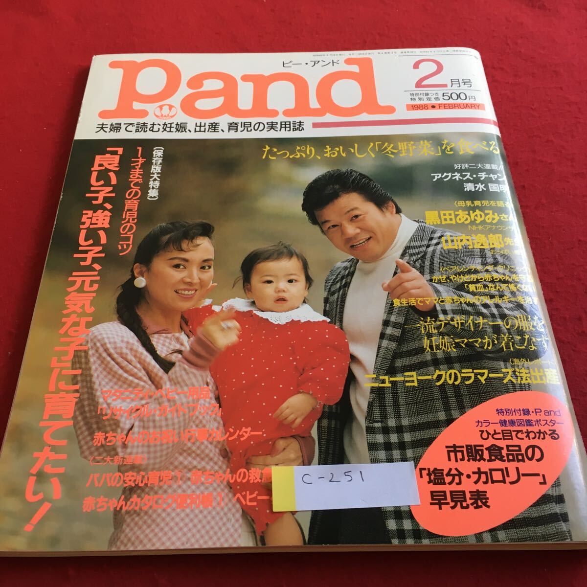 c-251 Pand ピーアンド 1988年2月号 1才までの育児のコツ 夫婦で読む妊娠、出産、育児の実用誌※4_画像1