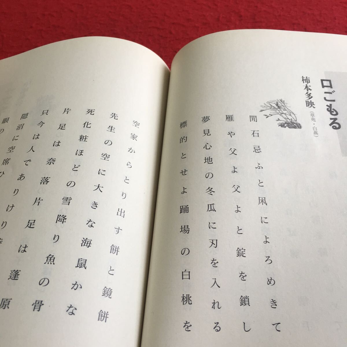 d-356 角川 俳句 2004年2月号 特集 好きな季節と得意な季語 角川書店 ※4_画像6