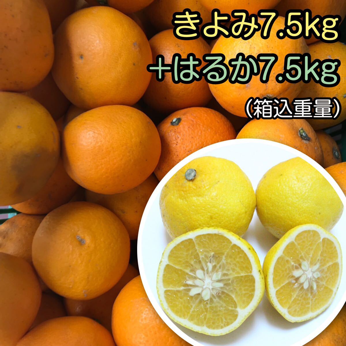 1はるか7.5kg きよみ7.5kg 3699円 愛媛県産 訳あり家庭用 柑橘_画像1