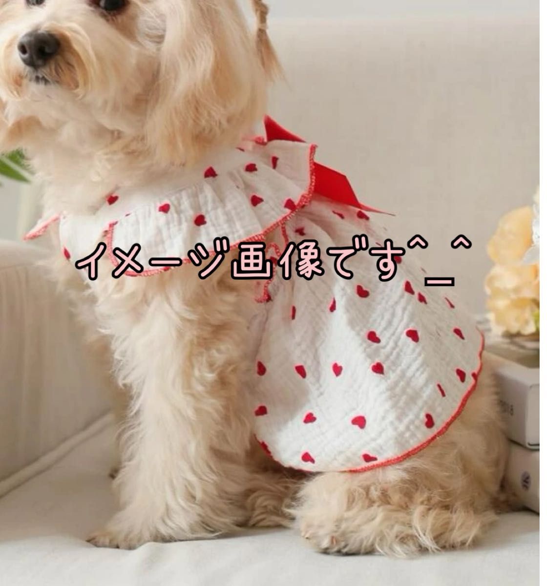 ペットドレス ワンピース 赤リボン 犬服 サイズS 新品未使用