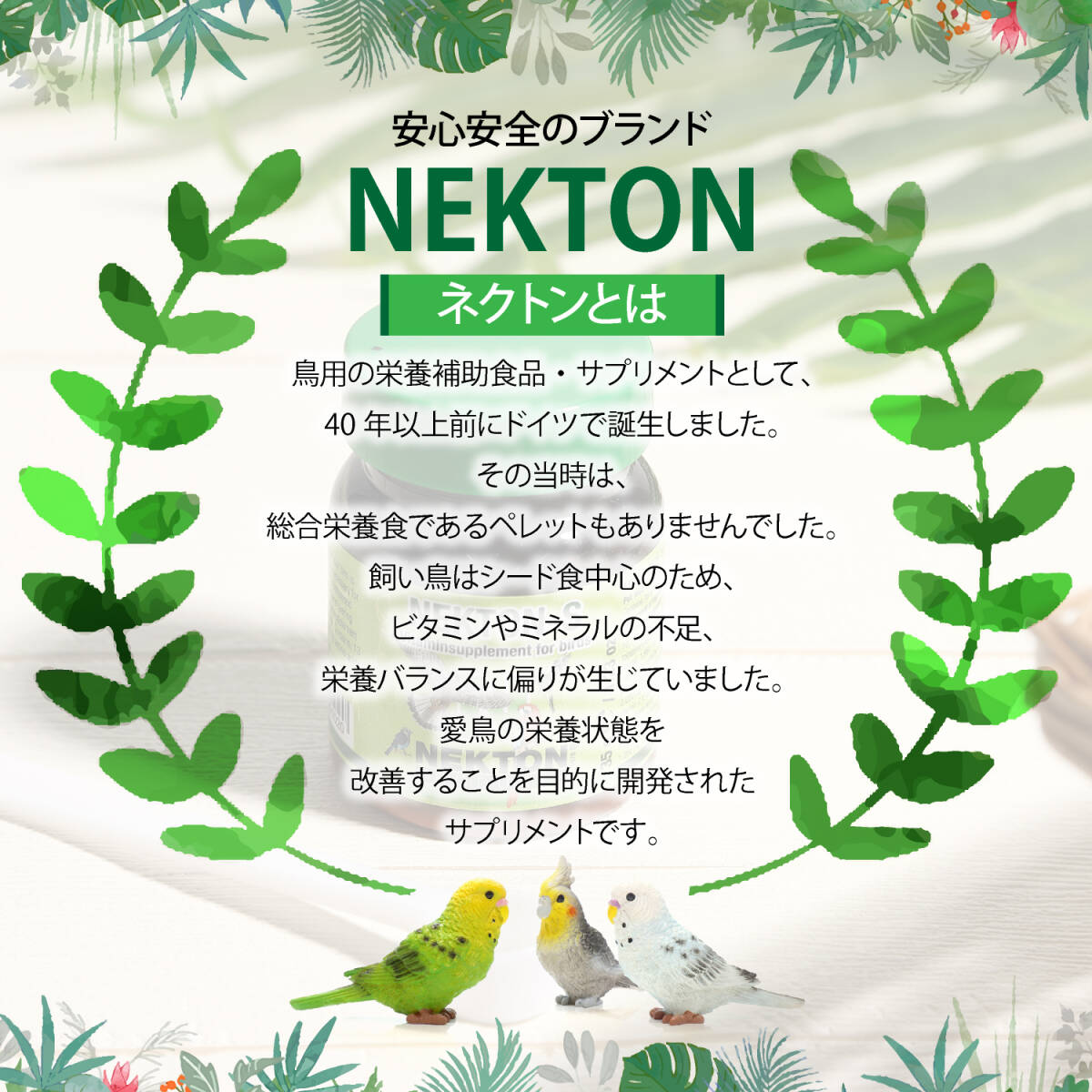 ネクトン S NEKTON 75ｇ賞味期限2025.12.05 湿気対策セット 医療用計量スプーン シリカゲル10ｇ アルミ袋 日本語説明書_画像3