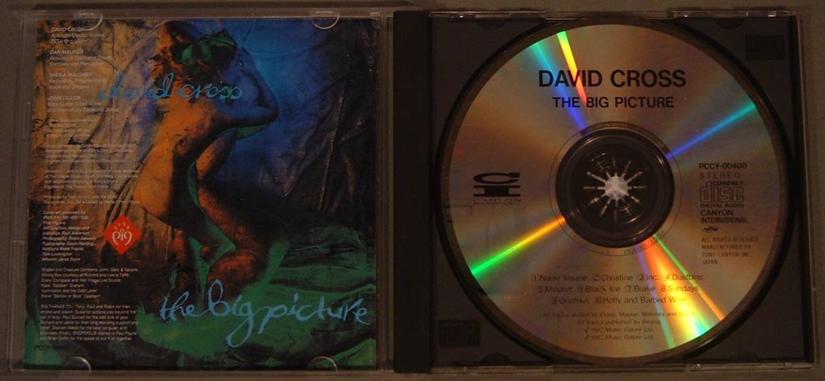 【CD】DAVID CROSS デヴィッド・クロス ”The Big Picture” ビッグ・ピクチャー 日本盤 King Crimson_画像3
