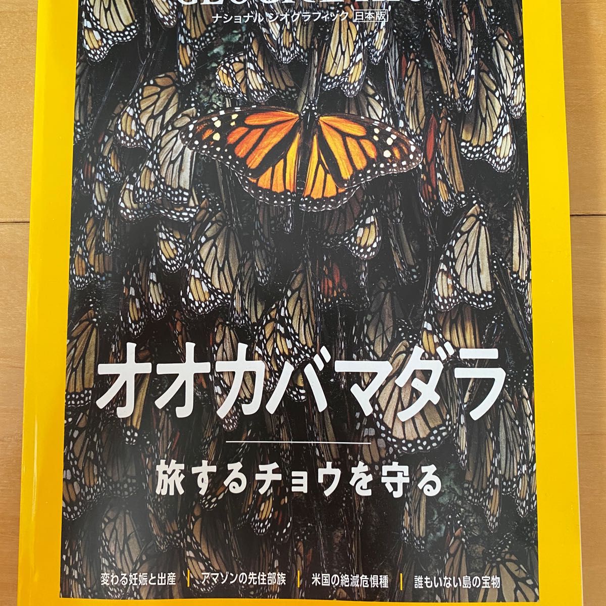 ナショナルジオグラフィック日本版 ２０２４年１月号 （日経ＢＰマーケティング）