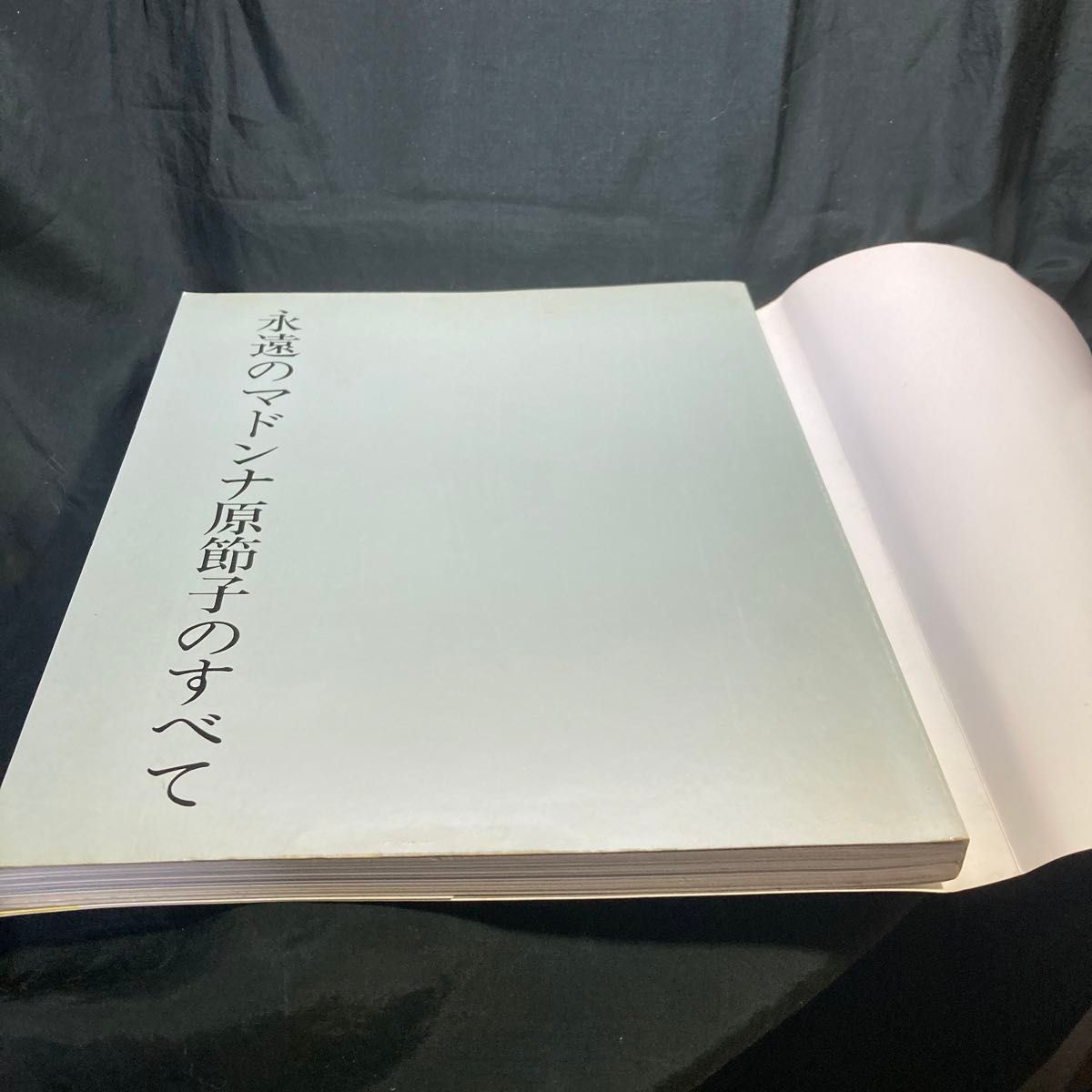 永遠のマドンナ 原節子のすべて／監修 佐藤忠男／出版協同社