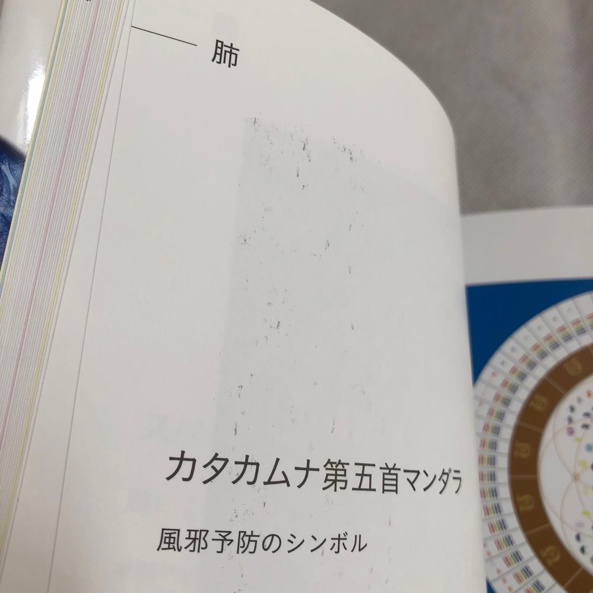 クスリ絵　心と体の不調を治す神聖幾何学とカタカムナ （アネモネＢＯＯＫＳ　００７） 丸山修寛／著 くすり絵