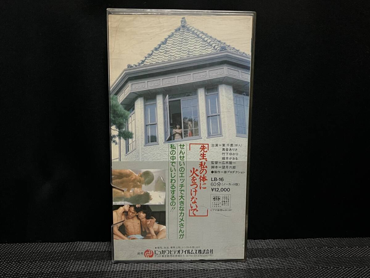 ■ 先生、私の体に火をつけないで ■ 東千恵 真堂ありさ 竹下ゆかり 織本かおる 中根徹 薔薇かおり 大杉漣 監督・廣木隆一 にっかつの画像4