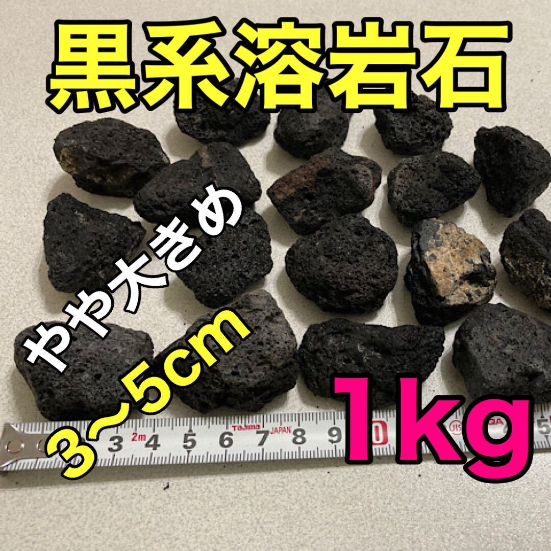 溶岩石 黒系 1kg 40〜50個 アクアリウム 水草活着 コケリウム