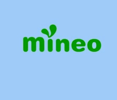 mineo マイネオ パケットギフト 10GB 9999MB 10GBの画像1