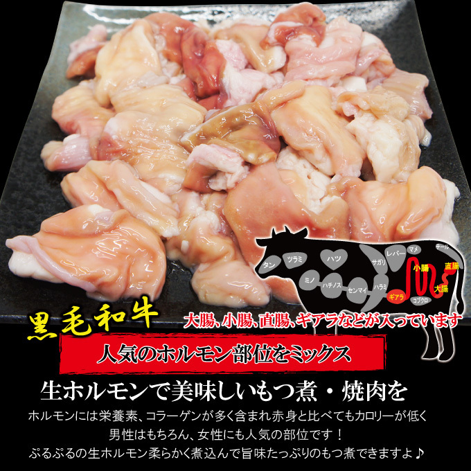 黒毛和牛生ホルモンモツ煮込み・焼肉用500ｇ冷凍【もつ】【腸】【鍋】_画像2