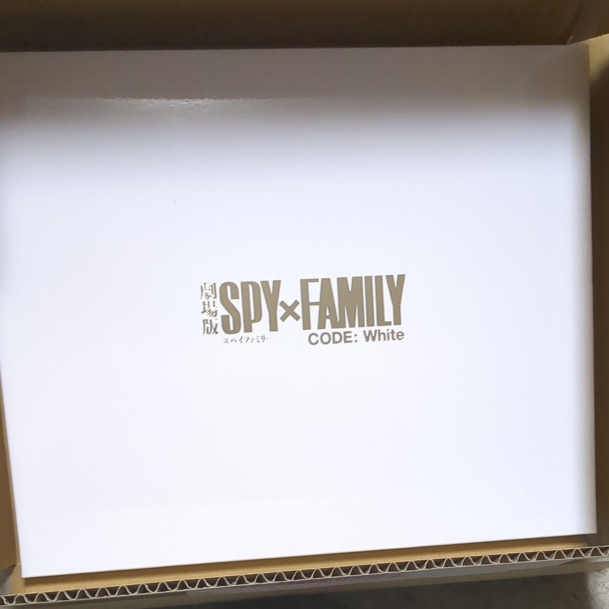 非売品　300名限定当選品　SPY×FAMILY　ローソンアプリくじ　劇場版スパイファミリー　額縁入りオリジナル描き下ろしイラスト