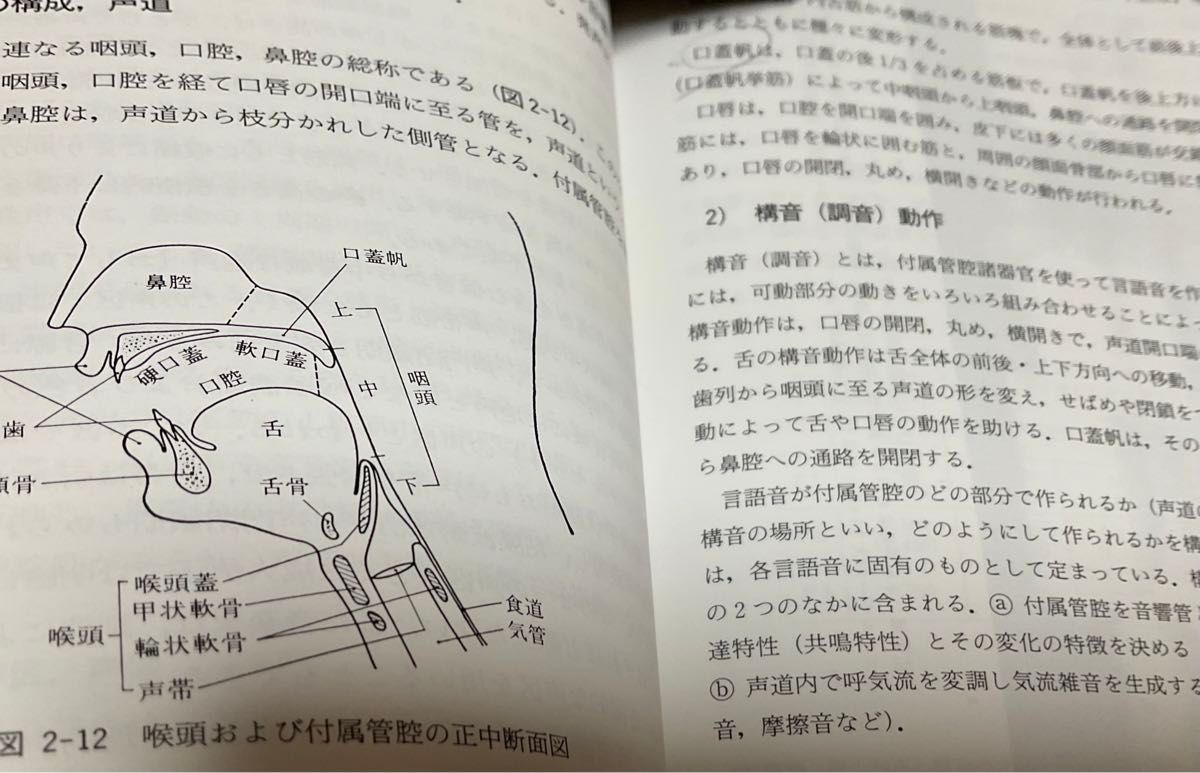 第2版　声の検査法　基礎編　日本音声言語医学会　編　1995 単行本　ペーパーバック