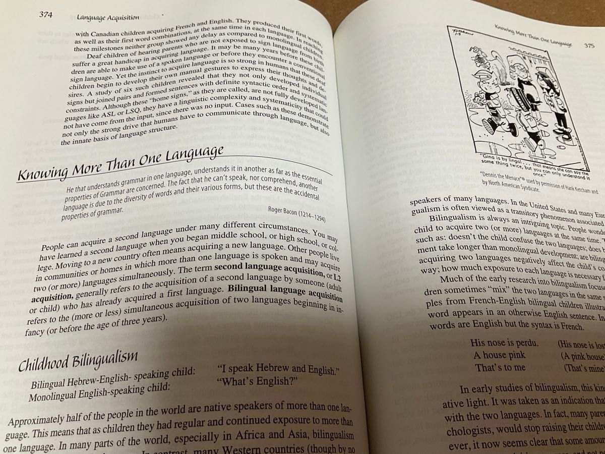 洋書　AN INTRODUCTION TO LANGUAGE, 7th edition  FROMKIN 他　2003 