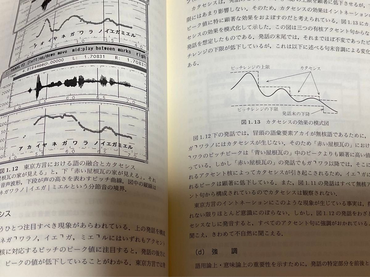 岩波講座　言語の科学 2 音声　田窪行則他　単行本　ハードカバー