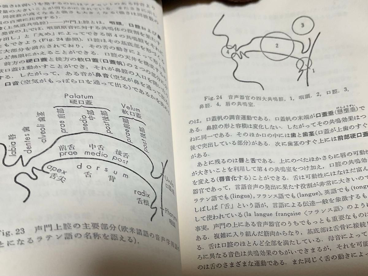 音声学 改訂新版　ベルティル・マルンベリ著　大橋保夫　訳　白水社　ペーパーバック