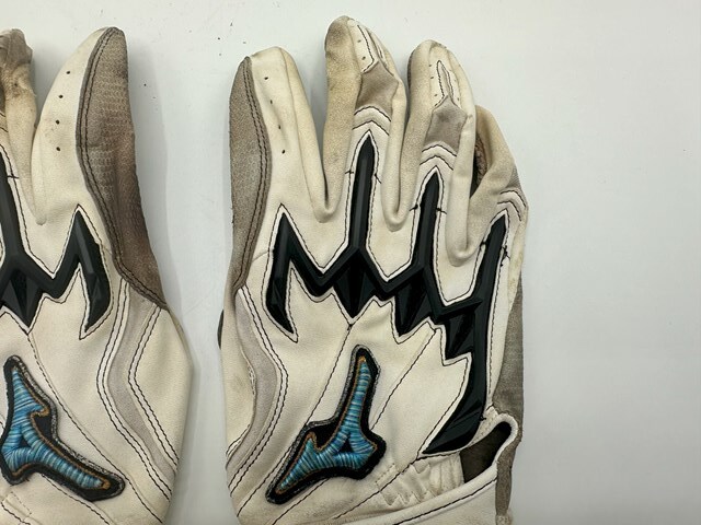  Hiroshima carp Nagano .. supplied goods actual use batting glove Mizuno Pro Pro real use item Yomiuri Giants 