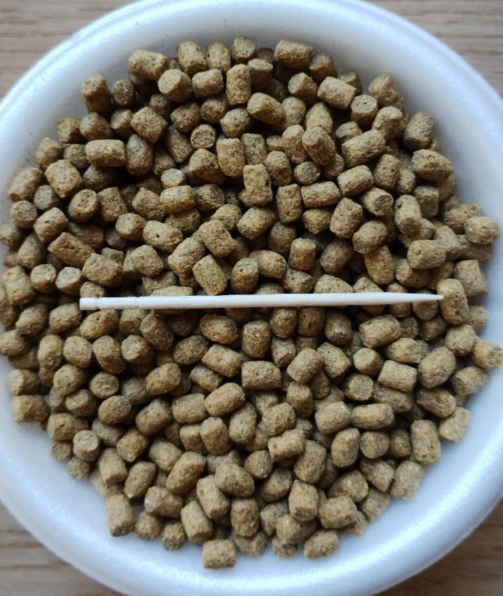 * coming off bait approximately 5mm 6mm 800g color .. osteoglossids . common carp sweetfish .niji trout ga- bastard halibut EP float EP5 EP6 high grade .... comming off bait 5 number 6 number 