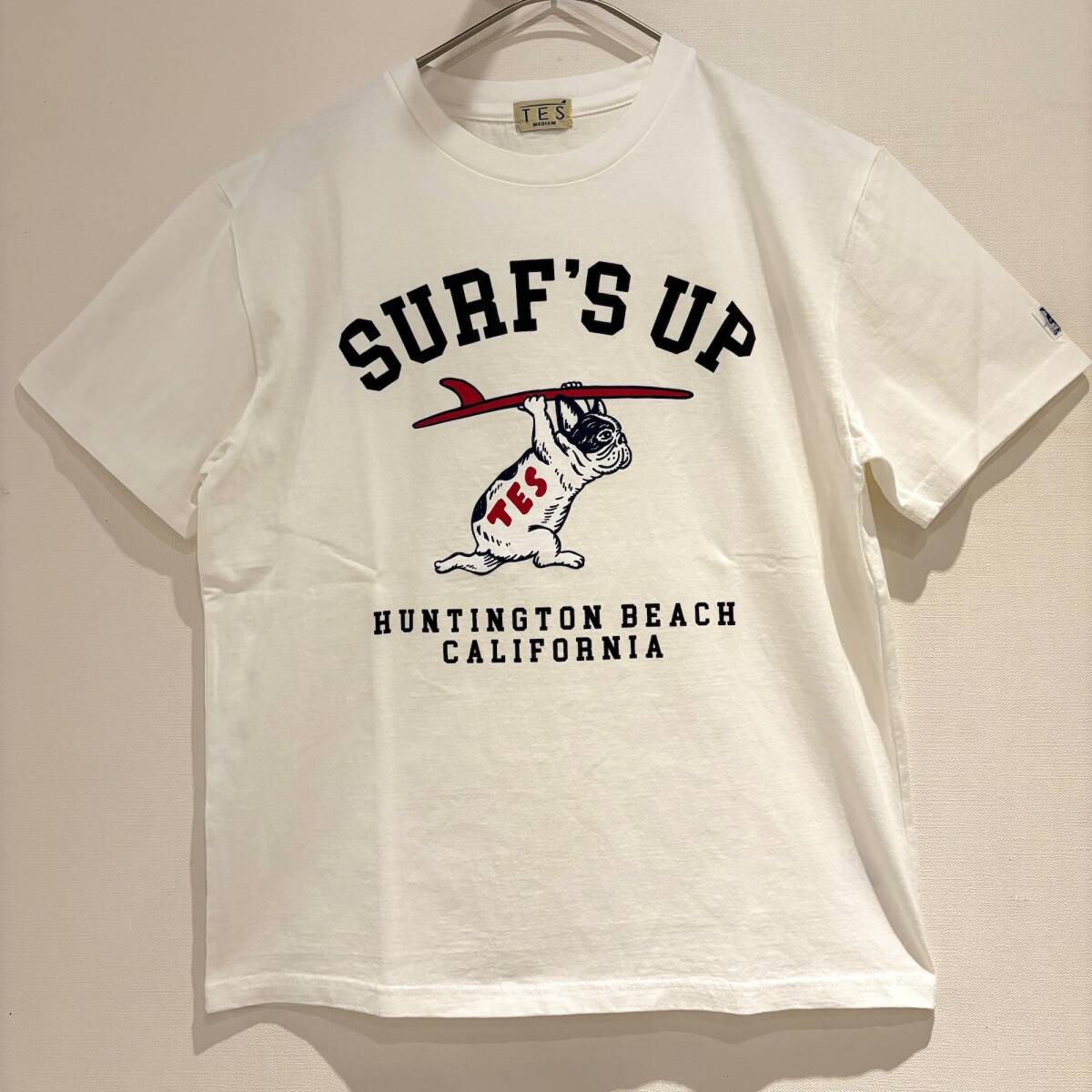 【最新作】サイズXL TES SURF'S UP COLLEGE T-SHIRT テス ブヒ エンドレスサマー Tシャツ