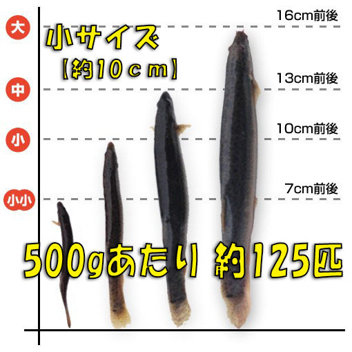 *[. loach ] small 500g( approximately 10cm* average 125 pcs ) mud .* meal for *.. bait * fishing bait * raw bait * tropical fish * old fee fish feed - dojou*..* river fish * freshwater fish 