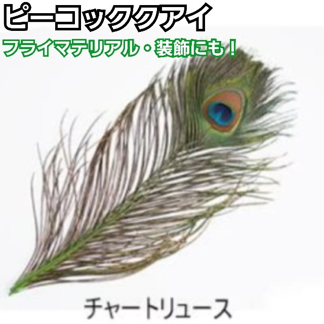 ピーコックアイ　Lサイズ(4本)　チャートリュース　フライマテリアル　装飾にも！　羽根　フェザー　孔雀の羽