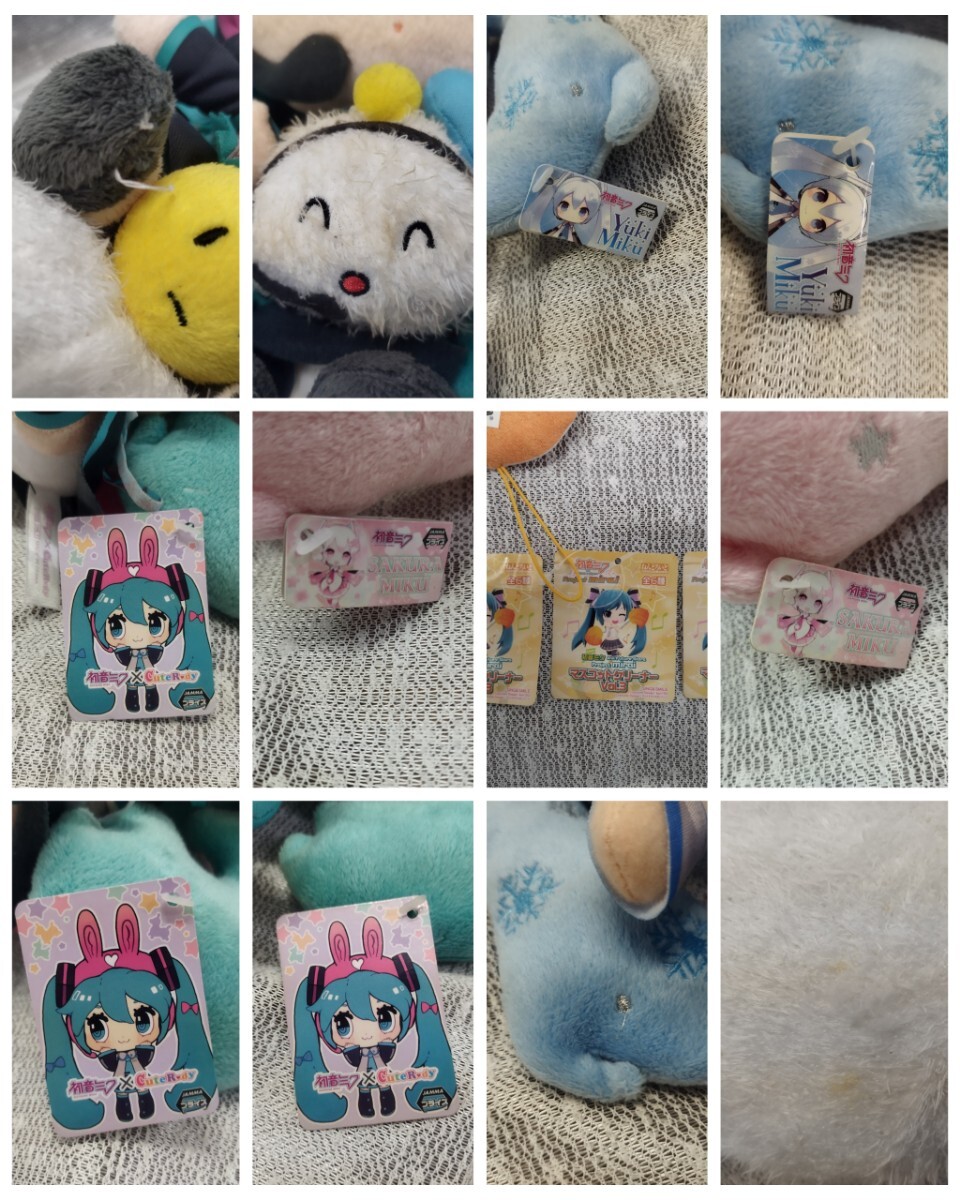 SK03272 Hatsune Miku мягкая игрушка подушка суммировать много с биркой CuteRody сотрудничество снег Miku Sakura Miku ..... kun bo Caro Vocaloid 
