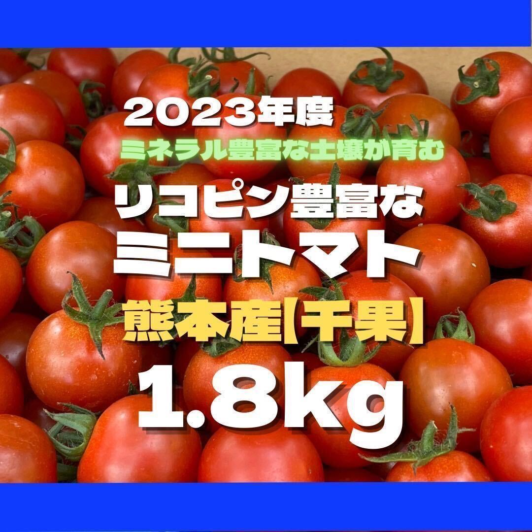 ミニトマト　野菜　熊本産　1.8kg サイズ混合　ミネラル　にがり　弁当　リコピ　コンパクト 野菜 _画像1