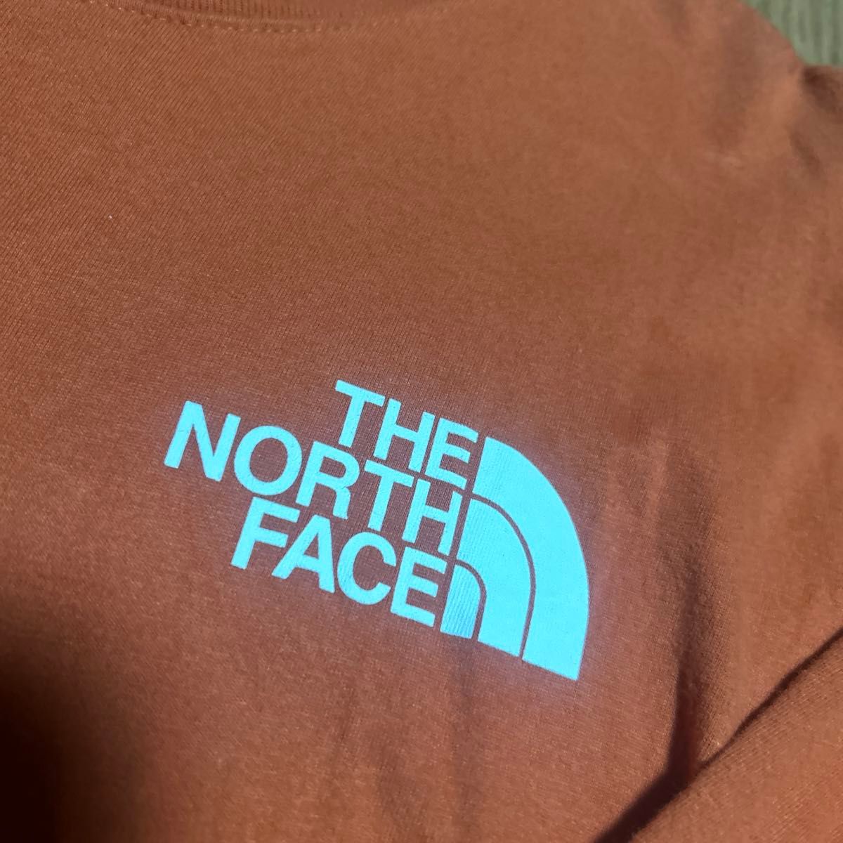 ノースフェイス The North Face ロンT 長袖Tシャツ 日本未発売　US S