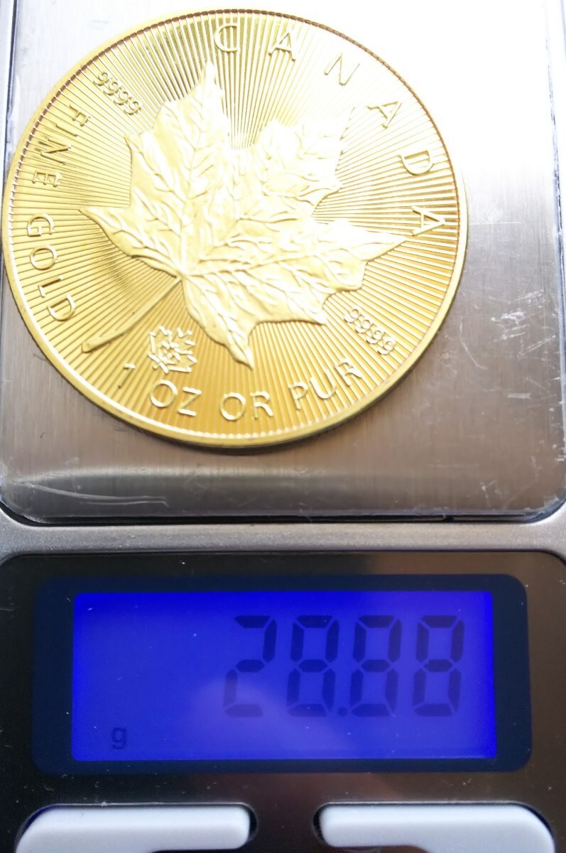メープルリーフ 金貨 2015年 カナダ 大型金貨 エリザベス2世 美品 古銭 メイプルリーフ 金貨 ゴールド コイン 収納ケース付き _画像6