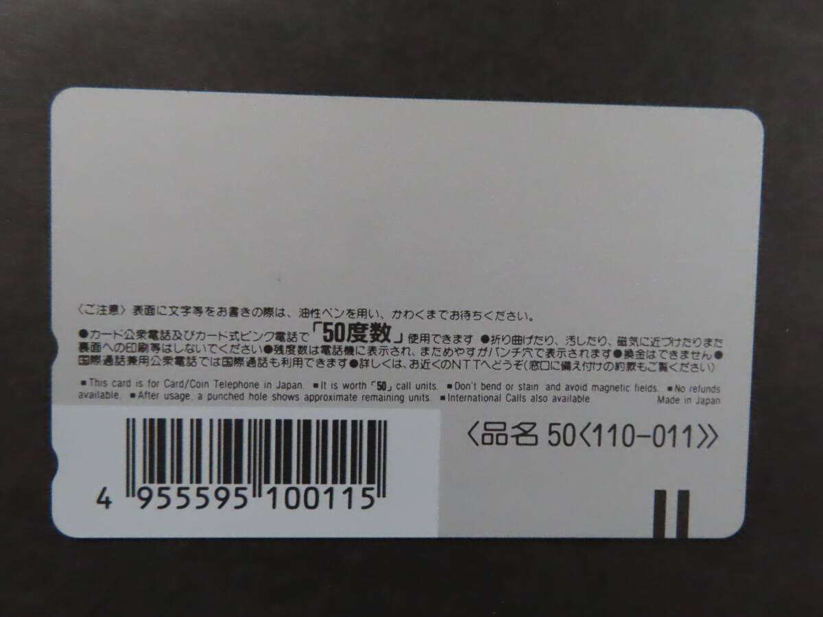 未使用テレカ「岡村孝子」クリスマスピクニック ５０度数×２枚（￥１０００）の画像4