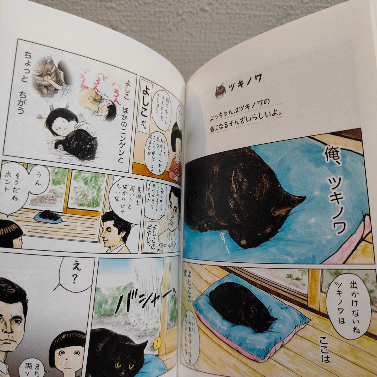 『 俺、つしま 3 』◆ おぷうのきょうだい / 猫 ネコ × 漫画 / カラー 癒し ほっこり