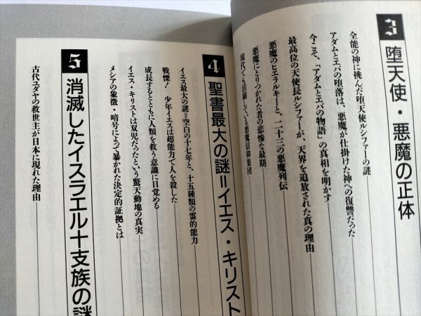 【封印された黒聖書の真実 古代ユダヤに葬られた禁断の預言書】 並木伸一郎 平成10年の画像4