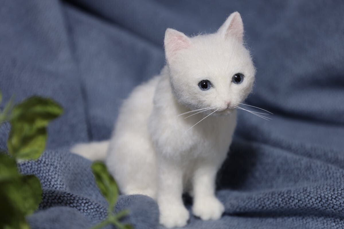 yoyo 羊毛フェルト ハンドメイド 猫 白猫 ネコ_画像2