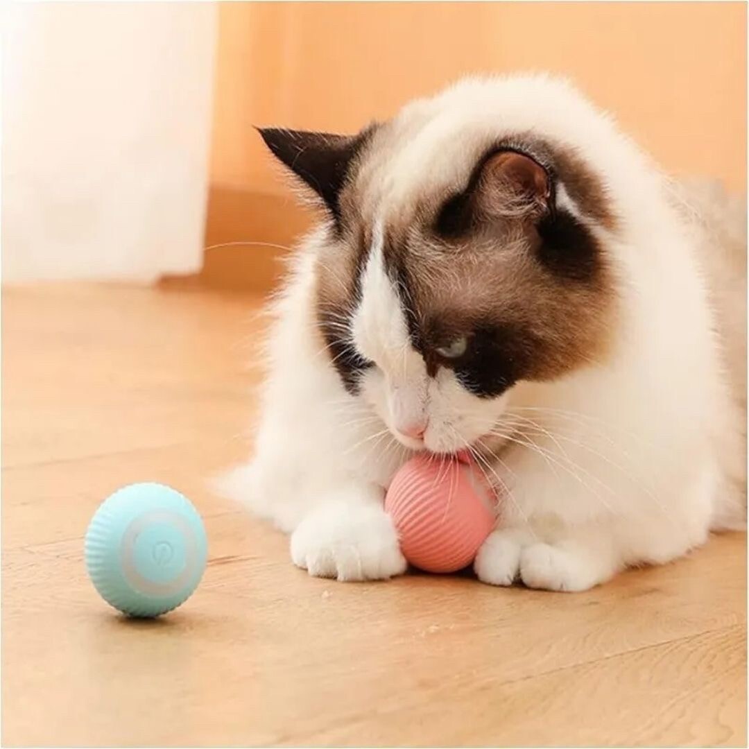 [ blue ] for pets 360° automatic rotation ball electric ball cat .... cat toy all 2 color absence number ..USB rechargeable motion shortage cancellation dog toy 