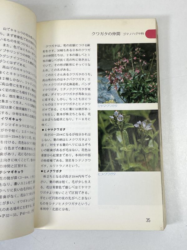 高山植物入門　　見分け方と写し方/　白籏史朗　/　山と渓谷社　　1980年 昭和55年【H72780】_画像3