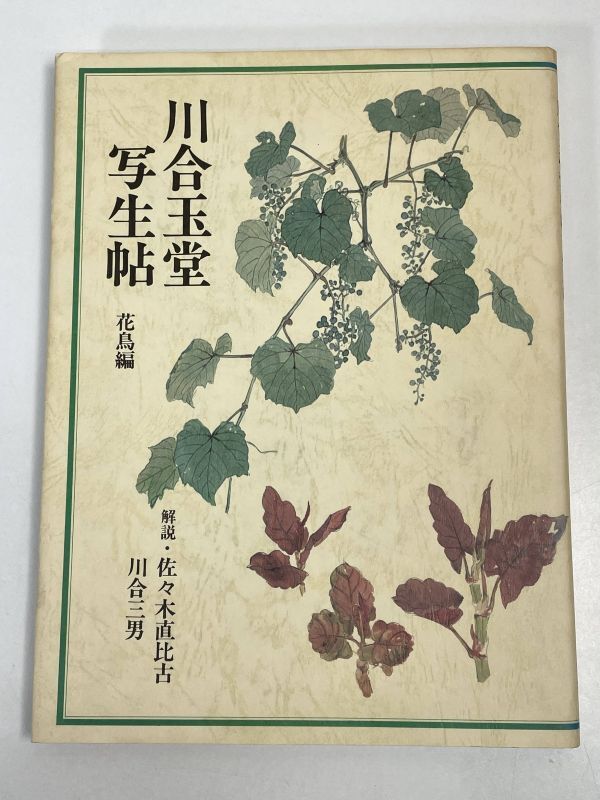 川合玉堂写生帖 山水編 解説：佐々木直比古 グラフィック社 1995年 平成7年【H73543】の画像1