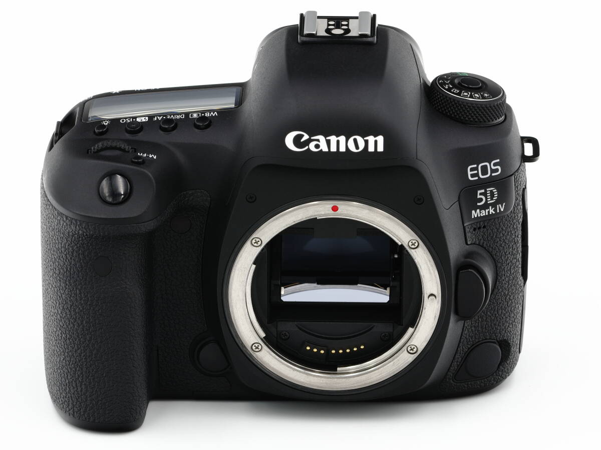 【超美品】EOS 5D Mark IV ボディ　1万6千ショット　CANON　キヤノン　キャノン　EOS 5D Mark 4　MarkIV　Mark4_画像2