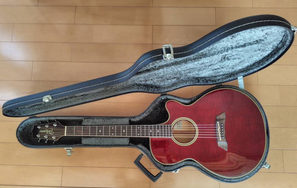 タカミネ Takamine エレアコギター NPT-110 ケース付き 中古品【送料無料】_画像9