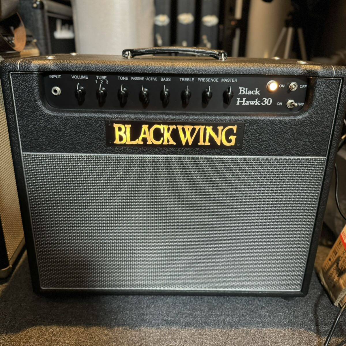 BLACK WING Black Hawk30 ギターアンプ Bad cat