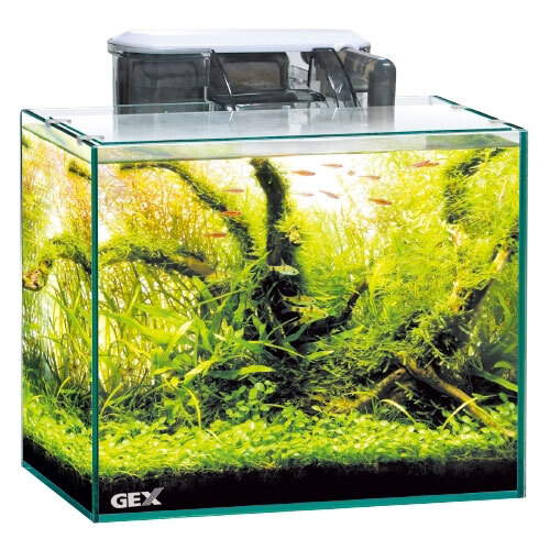 GEX стакан терьер 300 6 позиций комплект тропическая рыба * аквариум / аквариум * аквариум / аквариум комплект 