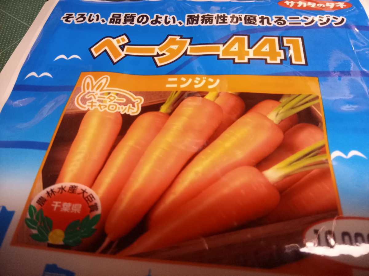 夏まき良し、ヒビが入りにくい 人参の種 品種名ベーター441 β441 ベーターキャロット 約150粒 サカタのタネの画像2