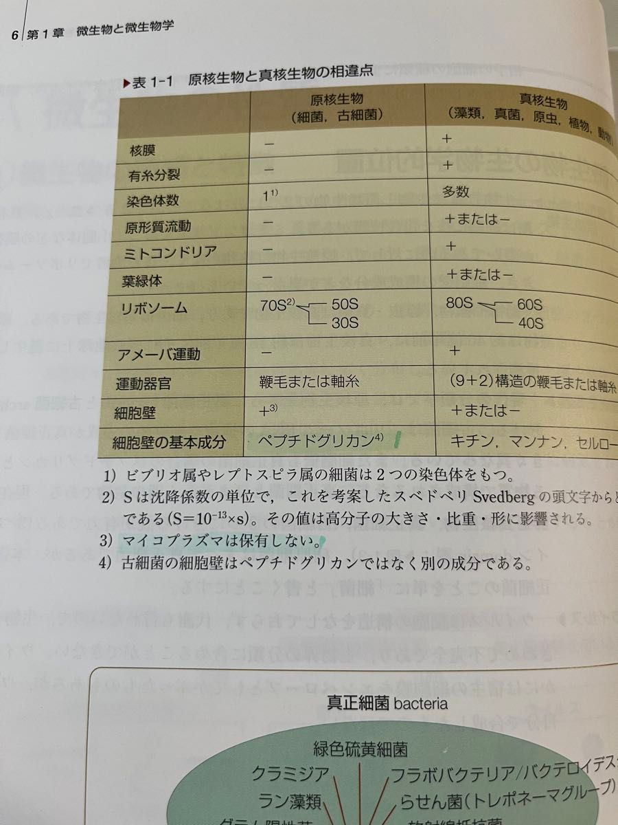 微生物学 系統看護学講座 専門基礎分野〔7〕