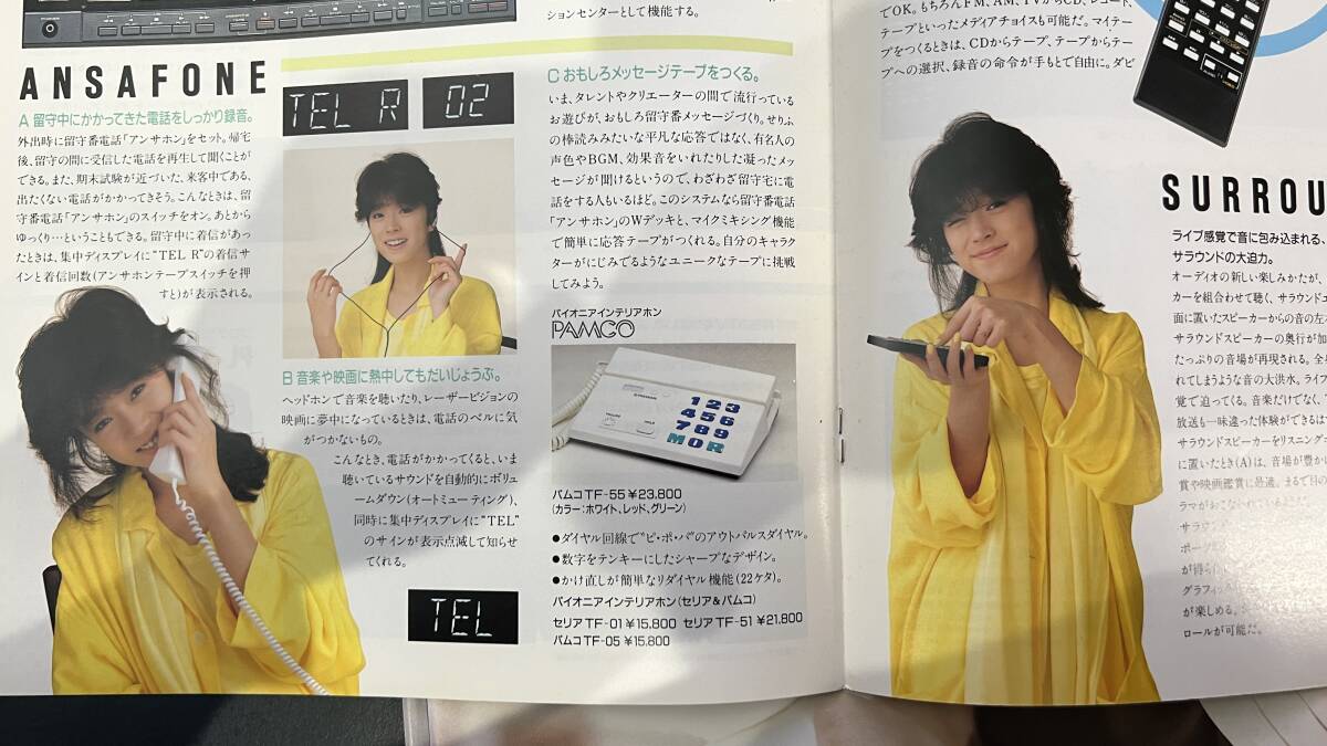 0181中森明菜カタログ6冊セット パイオニア Private _画像2