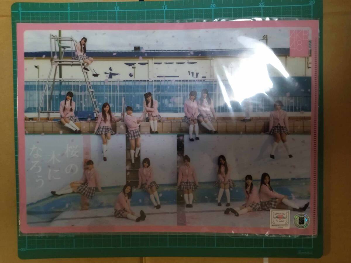 正規品 AKB48 桜の木になろう クリアファイル 新品 A4 2011 2 16 Sakura no Ki ni Naro pockets plastic file folder CLEAR FOLDER 