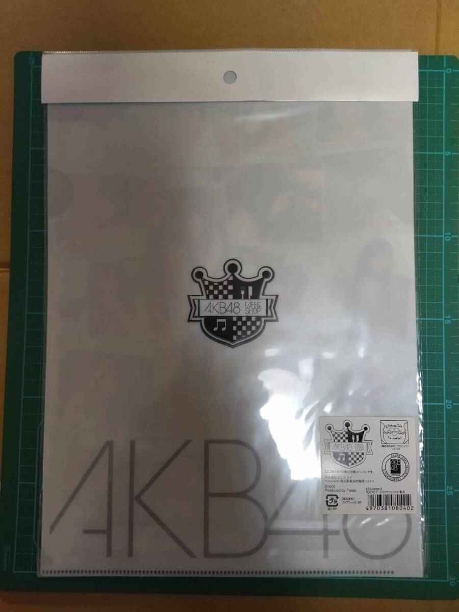 正規品 AKB48 TOKYO デート クリアファイル 2 集合 2012 4 1 現時点 活動 メンバー EZZ-0220-2 pockets plastic file folder CLEAR FOLDER 