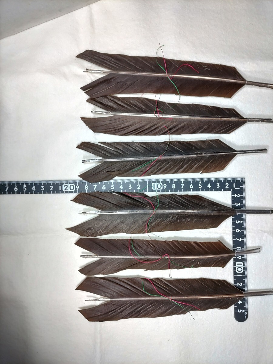 矢羽 黒鷲尾12枚 新しく造る事もお使いの擦れた古い羽の交換 矢羽 黒鷲尾12枚 新しく造る事もお使いの擦れた古い羽の交換