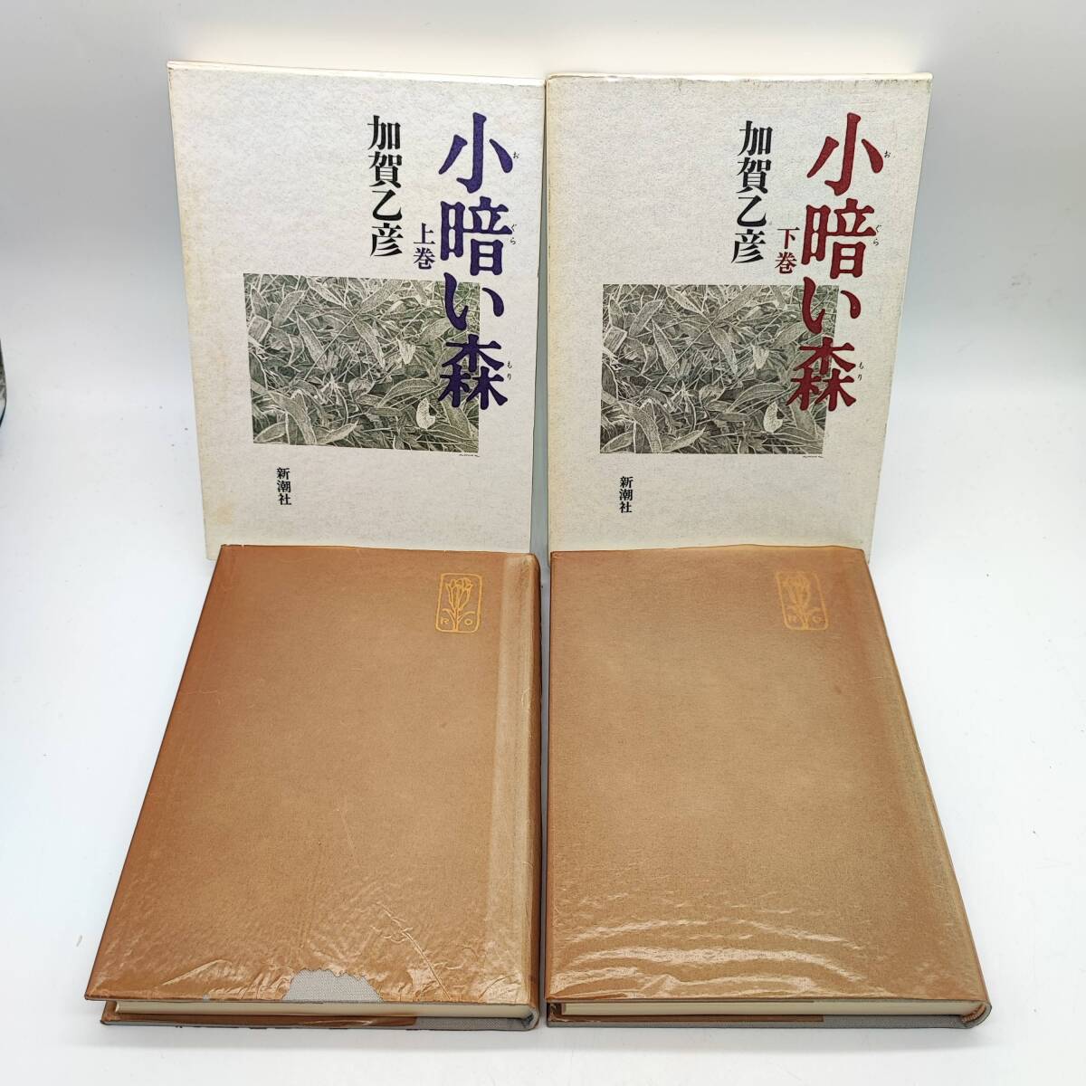 小暗い森　上巻／下巻　2冊セット　加賀乙彦　新潮社　　A240306_画像1