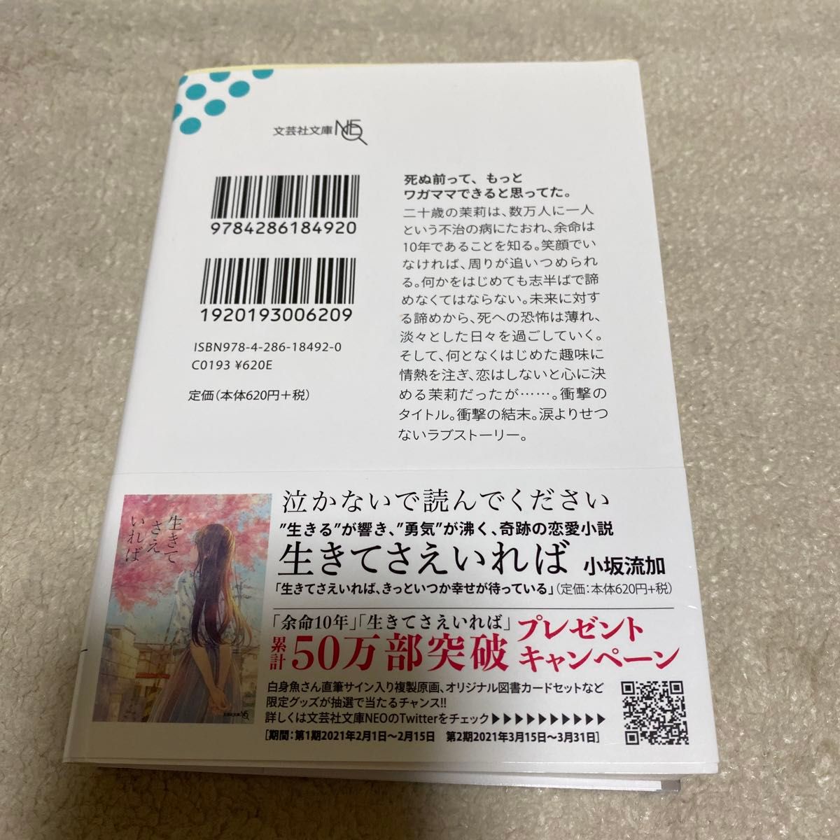 余命１０年 （文芸社文庫ＮＥＯ　こ５－１） 小坂流加／著