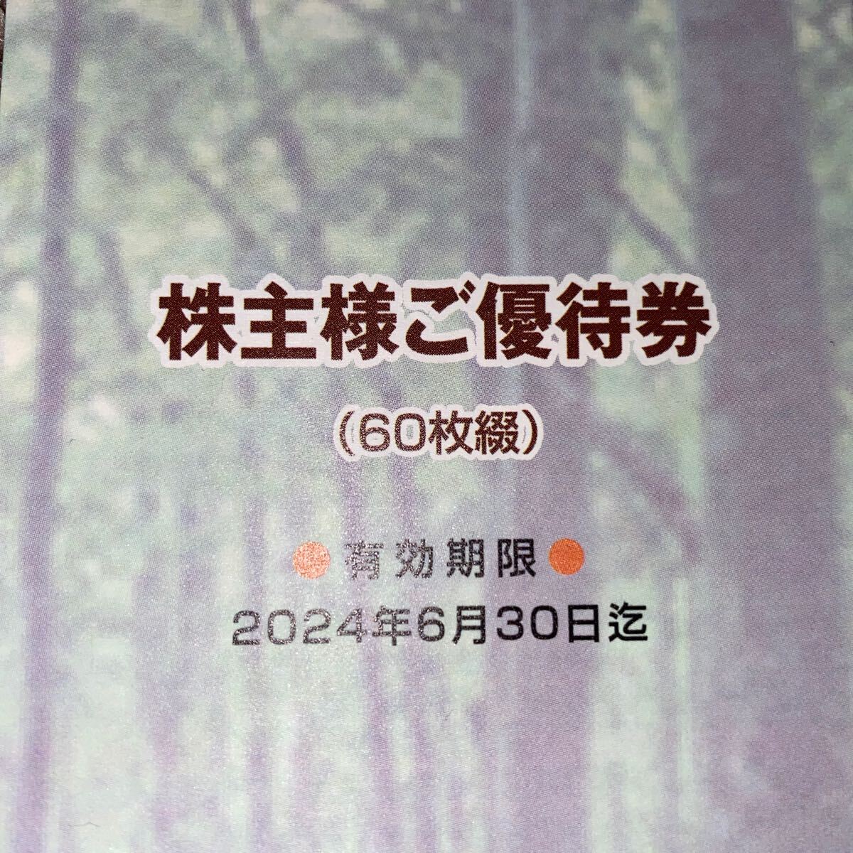 イオン　株主優待券　6000円分_画像1